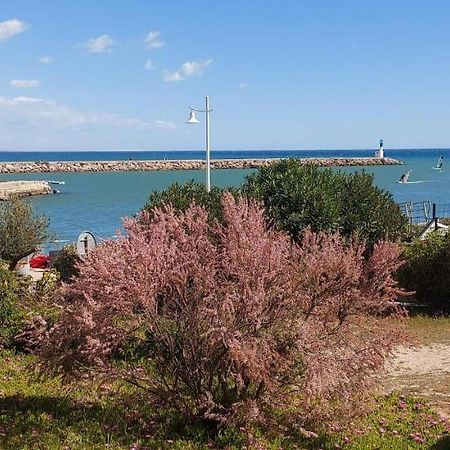 T3 Carnon, 1Ere Ligne 50M Plage Terrasse Parking Mauguio Exterior foto